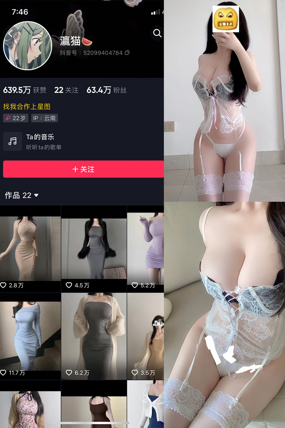 瀛猫