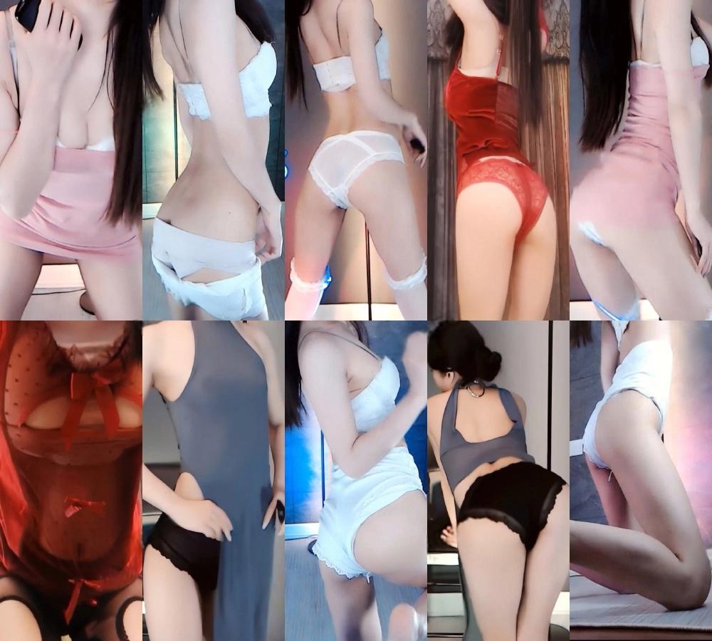 盛鸽小5